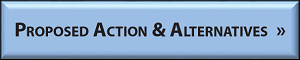 Proposed Action & Alternatives